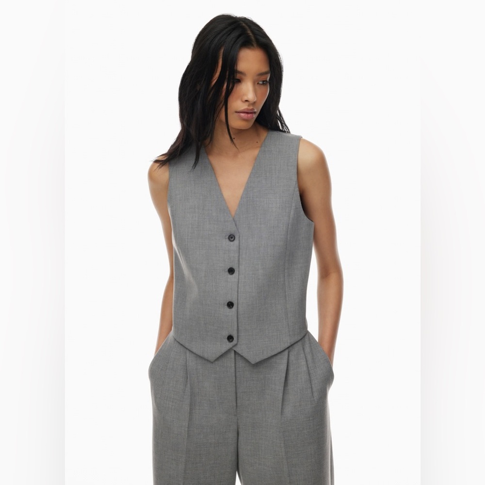 ARITZIA Gray Button-Up Vest
